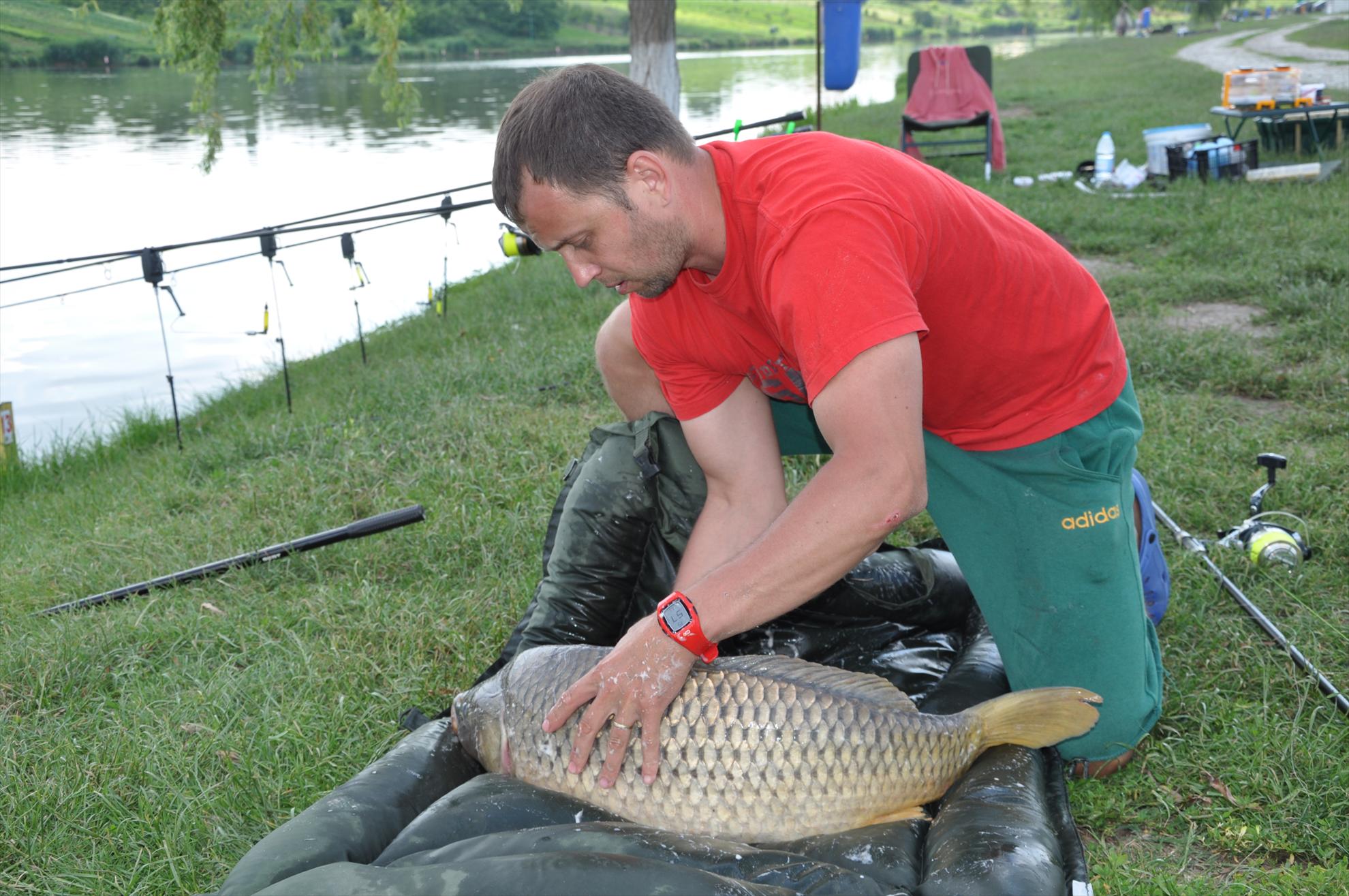 MV 2/3- 09/06/2013 - dsc0045.JPG